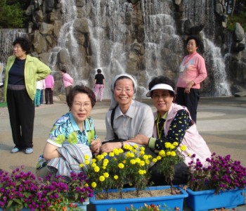 노인대학 나들이 다녀왔어요 ㅎㅅㅎ 이미지