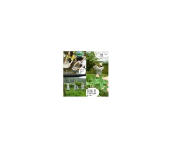 주부9단의 친환경 담그기 이미지