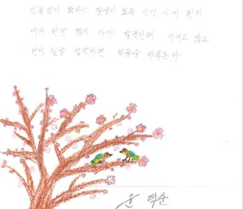 여성 노인 동아리 &#038;lt;내 생애 최고의 순간&#038;gt; 이미지