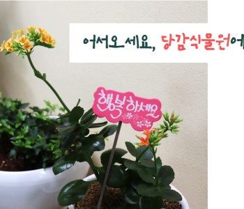 휴관에 대처하는 직원의 자세-☆ 이미지