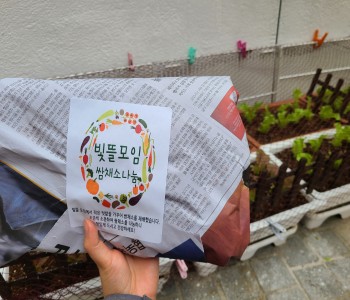 [주민모임 발굴 및 지원사업] 빛뜰 주민모임 쌈채소 나눔 후기 이미지