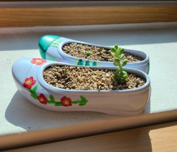 [이야기꽃] 고무신을 활용한 시간여행활동 이미지