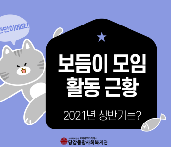 [주민모임 발굴 및 지원사업] 보듬이 주민모임 활동 근황 이미지