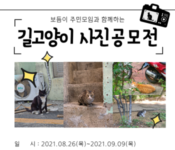 [보듬이 주민모임] 길고양이 사진 공모전 안내 이미지