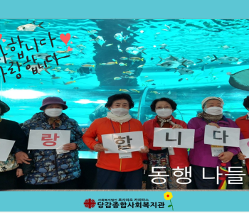 [동행] 나들이 이미지