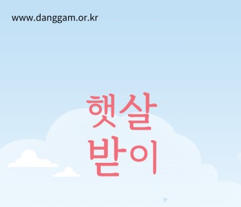 2023년 4분기~2024년 1분기 햇살받이 이미지